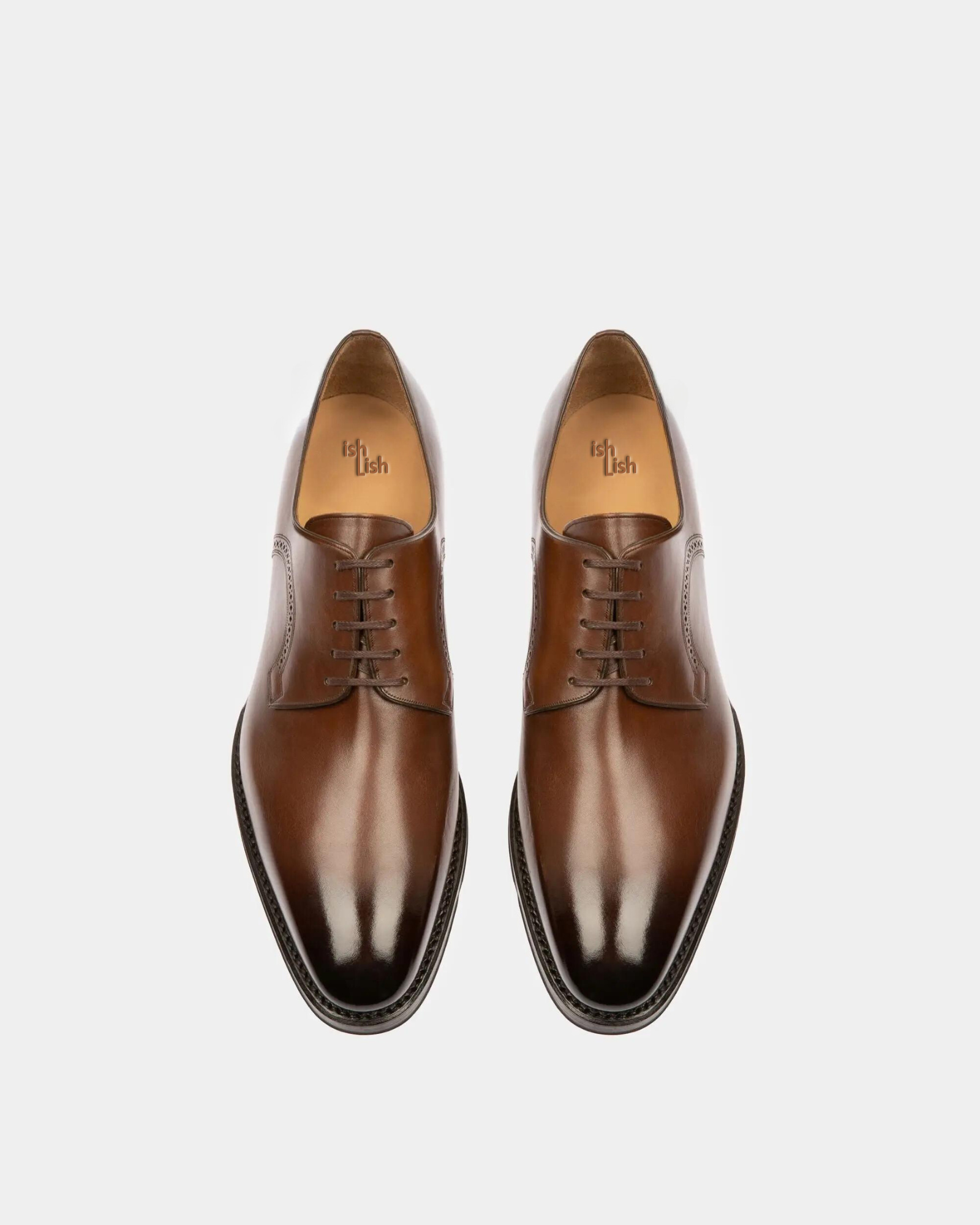 Scamardo Leather Derby Shoes In Brown